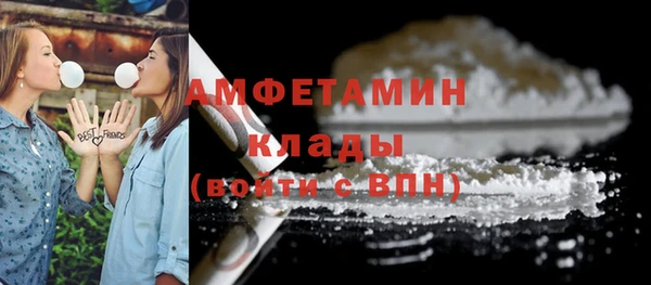 индика Белоозёрский