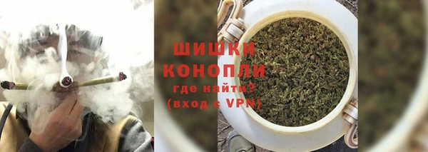 индика Белоозёрский