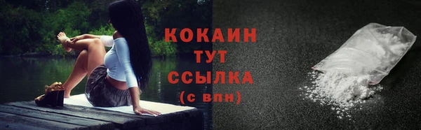 индика Белоозёрский