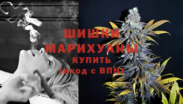 индика Белоозёрский