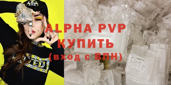 индика Белоозёрский