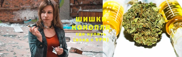 индика Белоозёрский
