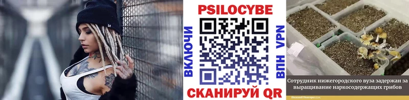 Купить закладки  Осинники  Псилоцибиновые грибы мухоморы 